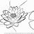 how to draw a lily pad flower easy