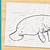 how to draw a manatee very easy