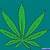 how to draw a marijuana plant