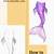 how to draw a mermaid tail step by step