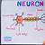 how to draw a neuron