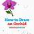 how to draw a orchid step by step