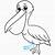 how to draw a pelican bird