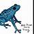 how to draw a poison dart frog