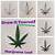 how to draw a pot leaf step by step