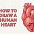 how to draw a real heart