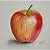 how to draw a realistic apple step by step