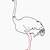 how to draw a realistic ostrich