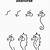 how to draw a seahorse step by step easy