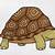 how to draw a tortoise