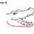 how to draw an alligator head
