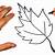 how to draw an easy leaf