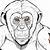 how to draw chimpanzee easy