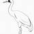how to draw crane bird