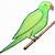 how to draw green bird