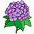how to draw hydrangea flowers