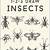 how to draw insects step by step easy