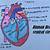 how to draw internal structure of heart