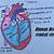 how to draw internal structure of heart easily