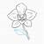 how to draw orchids