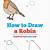 how to draw robin step by step