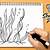 how to draw sea plants step by step