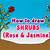 how to draw shrubs