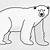 how to sketch a polar bear