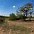 land for sale in hondo tx