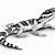 leopard gecko line drawing