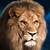 lion 3d image camera
