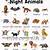 nocturnal animals list with pictures