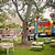 outdoor birthday party ideas for toddlers