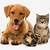 pet animals images free download