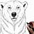 polar bear face drawing
