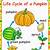 pumpkin cycle kindergarten worksheet