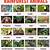 rainforest animals list amazon