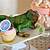 reptile themed birthday party ideas