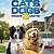 rotten tomatoes cats and dogs 3