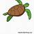 sea turtle sketch easy