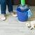 shaw floor cleaner safe for petsshaw floor cleaner safe for pets 3