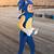 sonic costume for adults rental