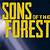 sons of the forest broke steam