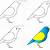 step by step bird drawing easy