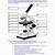 the compound microscope worksheet