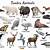 tundra biome animals list