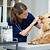 vet tech jobs hiring near me