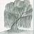 weeping willow tree drawing easy