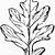 white oak leaf drawing