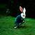 white rabbit animated gif